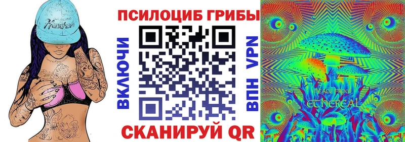 ОМГ ОМГ зеркало  как найти наркотики  Болхов  Галлюциногенные грибы Psilocybine cubensis 