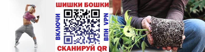 Конопля сатива мориарти телеграм Болхов где купить